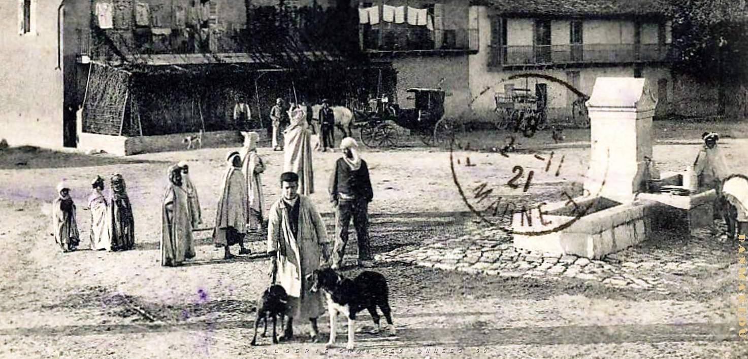 2982- Fermatou - Environs de Setif2.jpg